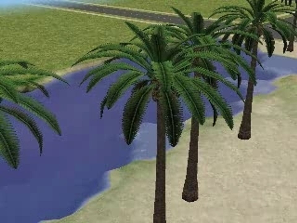 Soca clip_0001