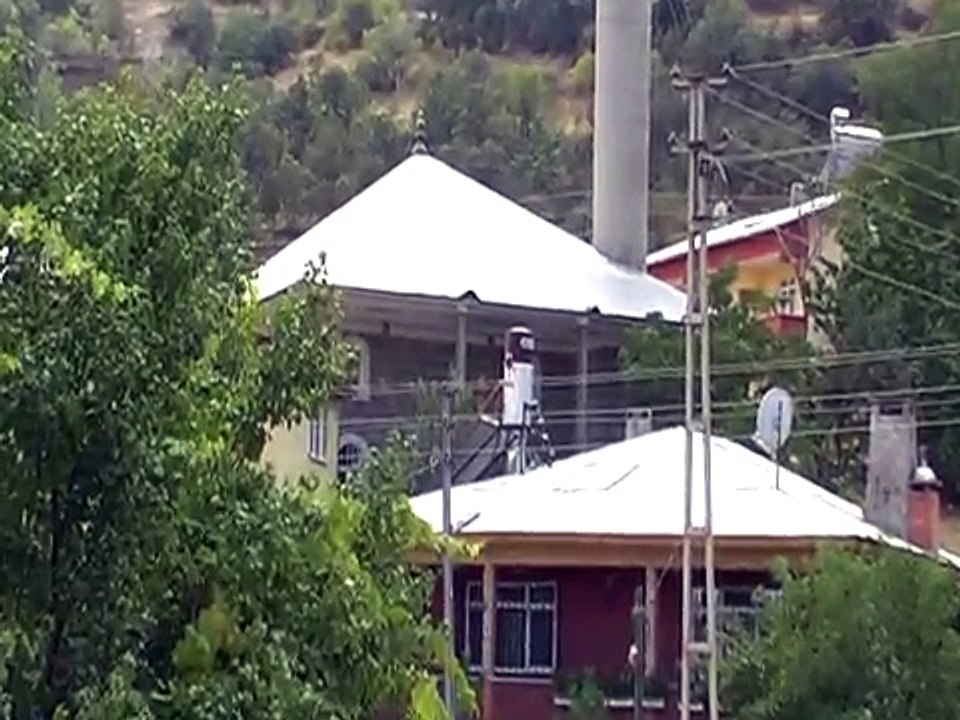 çamoluk kurukol