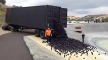 Shade Balls : Un camion largue des milliers de balles noires dans un réservoir d’eau