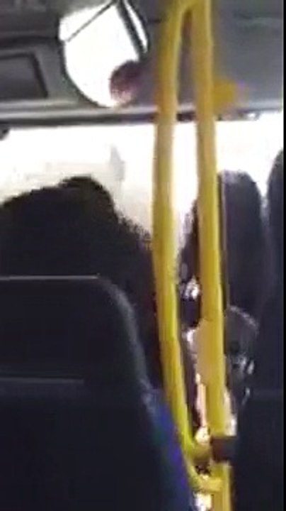خليجيه تضرب سائق باص في النمساء 