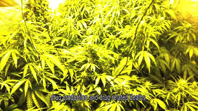 European drugs summer school 2014, Lisbon