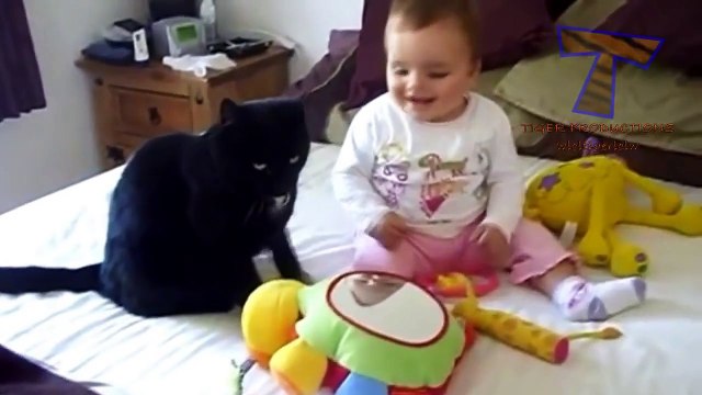 bébé et chatons jouent ensemble