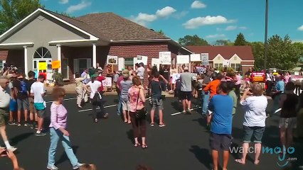 10 Cecil the Lion and Trophy Hunting Facts - WMNews Ep. 39