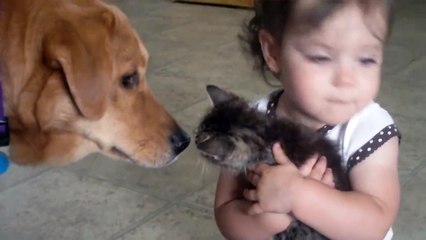 Trop chou sa réaction avec le chaton