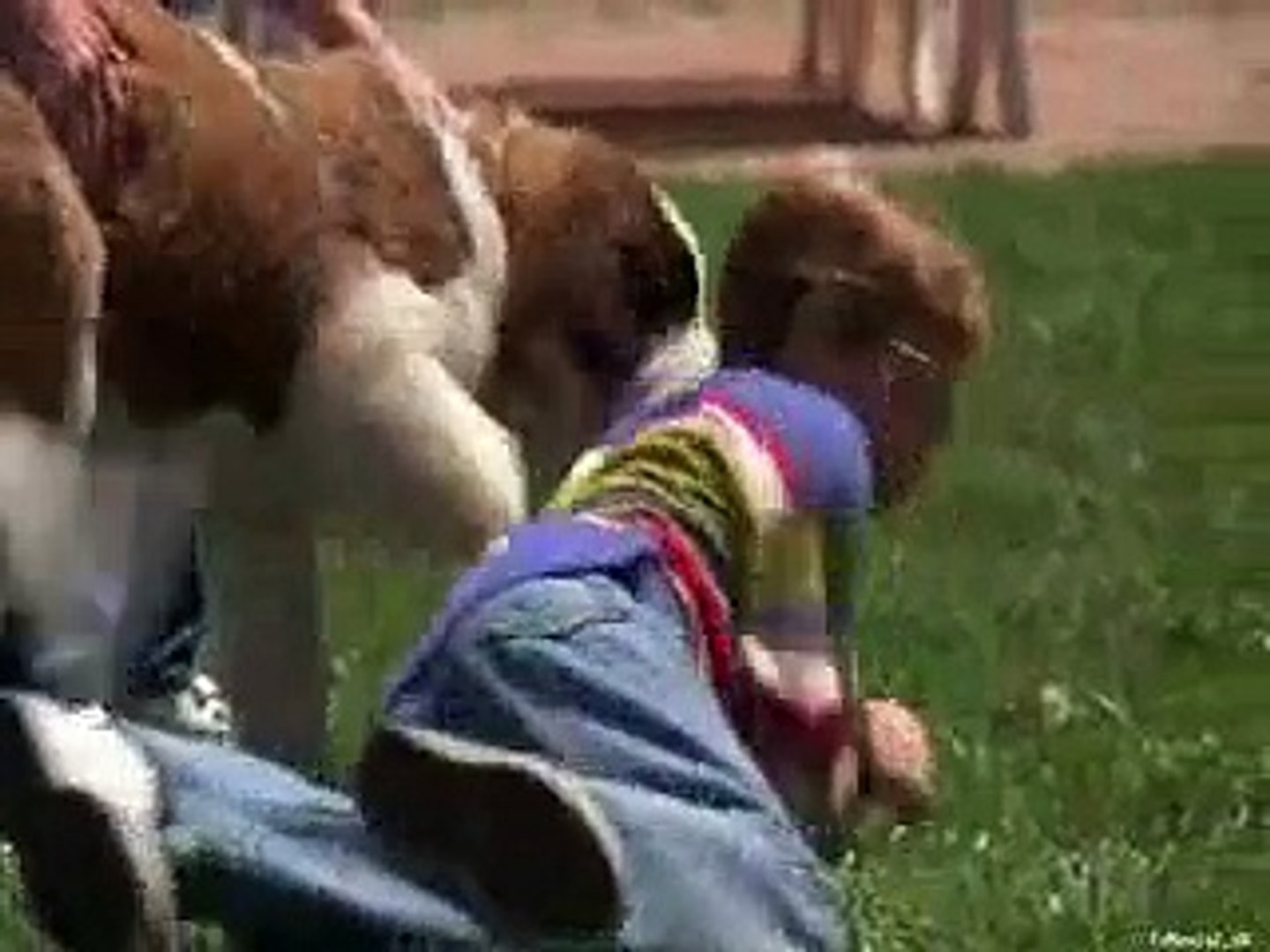 ⁣Beethoven (1992) Urdu Dubbed Movie Trailer