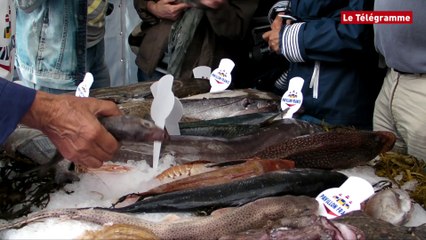 Concarneau. Filets Bleus. Temps bouché mais public bien présent