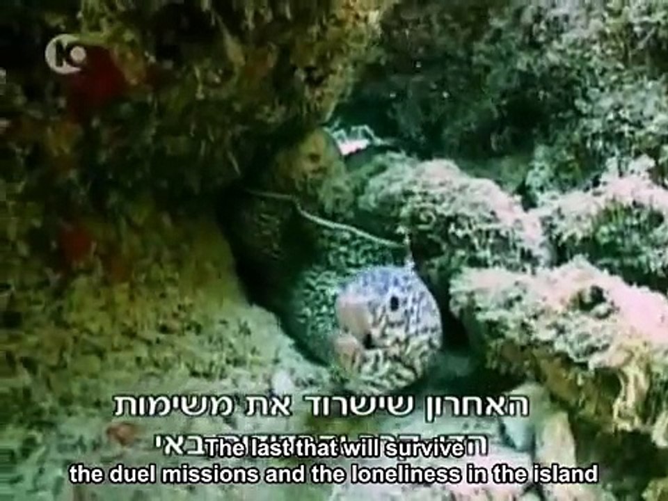 Hisardot Israeli "Survivor" ep.2 w/eng sub 1/6