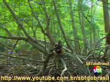 2/5 - Aventura Selvagem - 23/07/2010