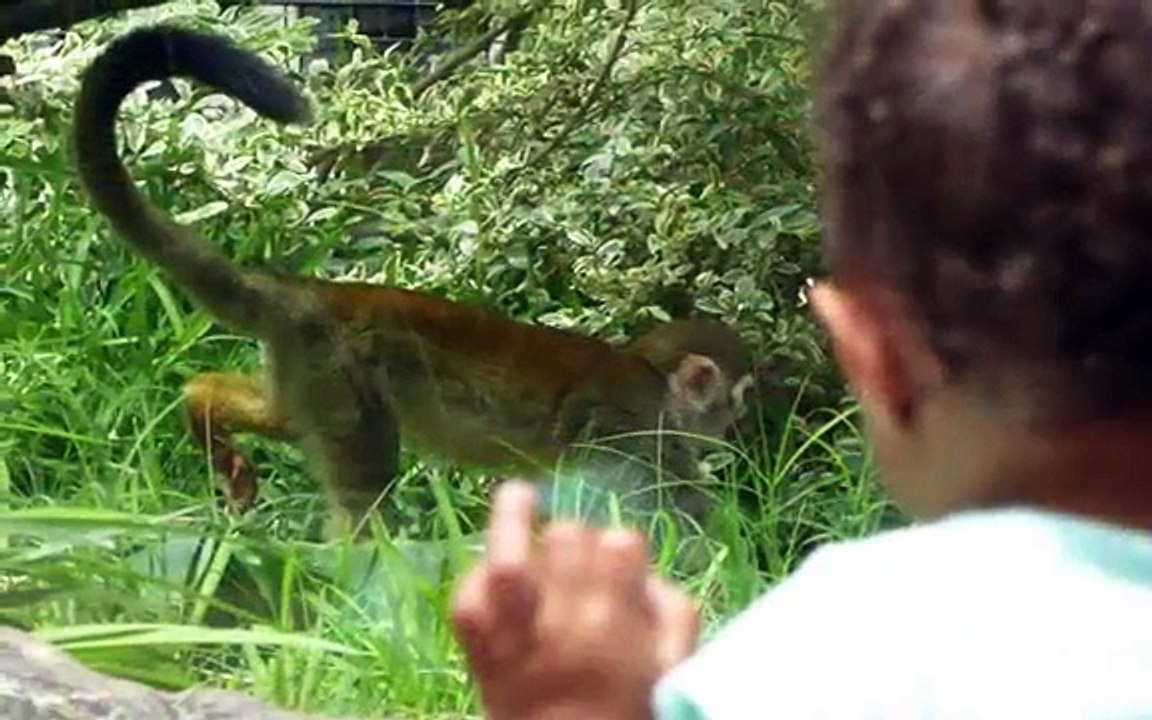 Miiko visits the zoo w/great grandparents