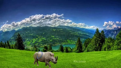 Animals Cartoons Finger Family Songs | Children Nursery Rhymes | Popular  Englilsh Phonic Songs