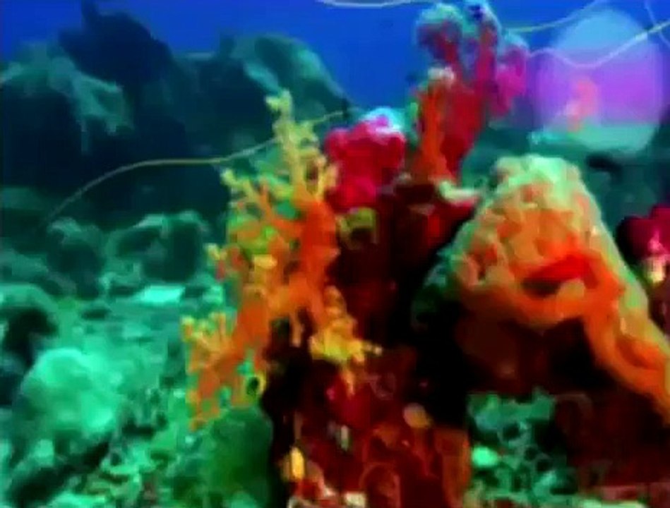 Зиг и Шарко Cartoon Episode 27 28