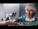 Clonación Humana Dr Panayiotis Zavos Discovery Channel Parte 4