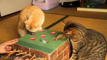 Best Fails Compilation of the Week 1 August 2015 || FailArmy