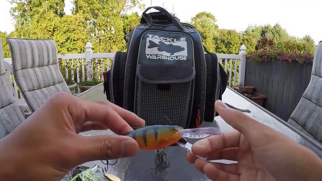 Top 10 Fall Bass Fishing Lures by 1Rod1ReelFishing