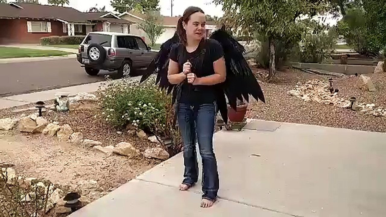 Déguisement d'ailes d'oiseau pour Halloween