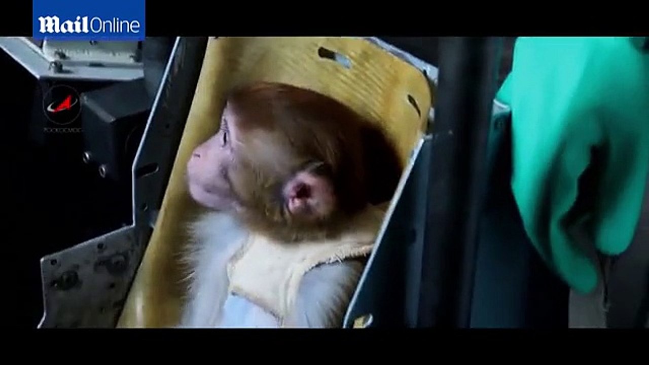 Russian scientists are training macaques so they can travel to MARS in 2017
