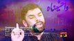 Zameen E Karbala Pe Dil Tarapta - Shadman Raza - Official Video