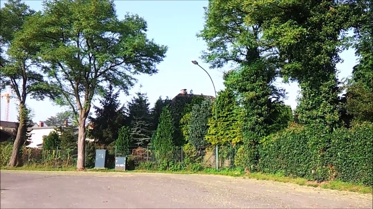 BestandAufnahme - Pinneberg Marktplatz Oktober 2015 /Full Film/Ganzer Film/Complete Movie