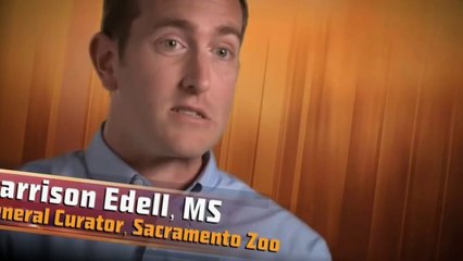 Самые ядовитые скорпионы любимое блюдо Исмаила / ЛУЧШАЯ ДИЕТА