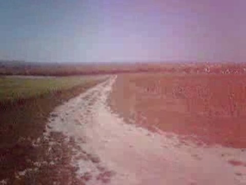 RM 125 REIMS babane lol motocross