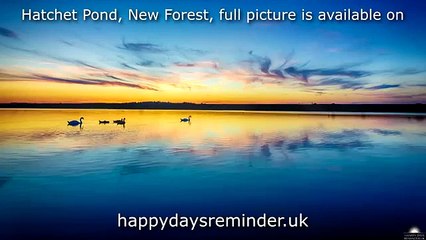 Hatchet Pond Sunset, New Forest, Hampshire, England