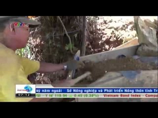 Khai thác vàng lậu ở Khe Đương