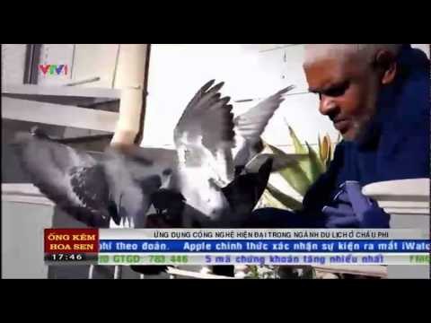 Ứng dụng công nghệ hiện đại trong ngành du lịch ở châu Phi