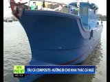 Tàu cá Composite - Hướng đi cho khai thác cá ngừ