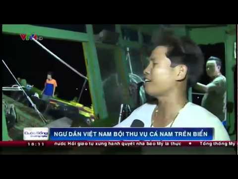 Ngư dân Việt Nam bội thu vụ cá nam trên biển