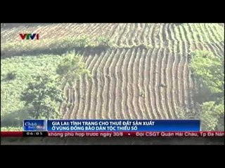 Gia Lai: Tình trạng cho thuê đất sản xuất ở vùng đồng bào thiểu số
