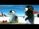 pigloo- le ragga du pingouin