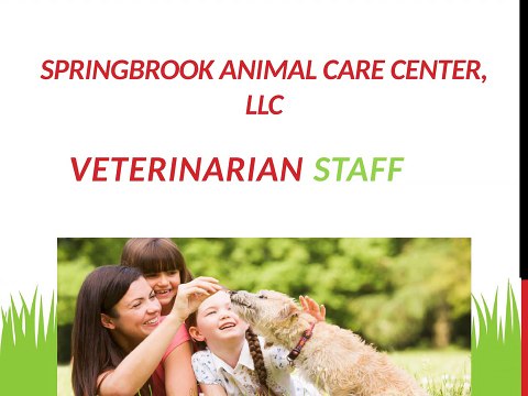 Springbroook Animal Care Center,LLC - Experienced Veterinarians