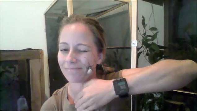 Elle laisse une araignée énorme lui grimper sur la tête... Flippant!