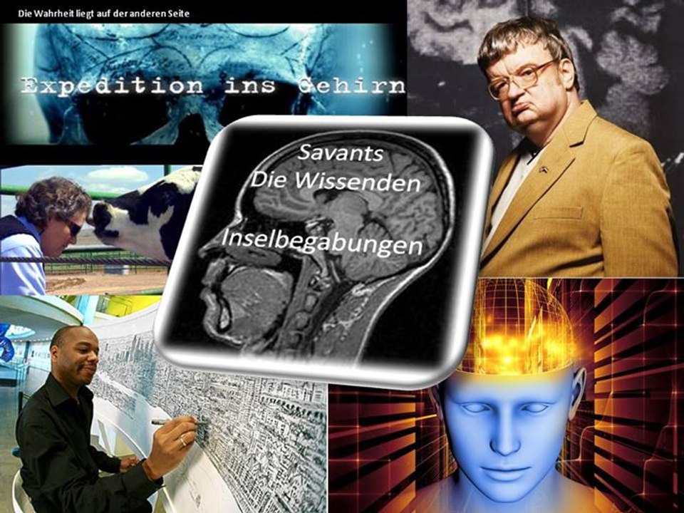 Expedition ins Gehirn - Teil 01 Gedächtnis Giganten
