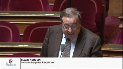 Défense : " Nos équipements sont vétustes, le programme Scorpion est crucial ! "