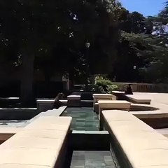 C'est telement fou comment il fait des  pompes