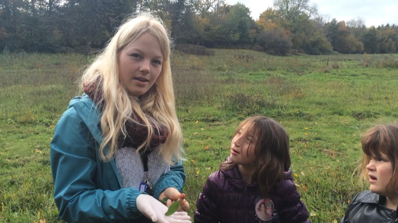 Cuisine à base d'aliments de la nature
