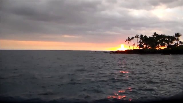 Фан-видео: Сердце не плачь (Nina Maslennikova)