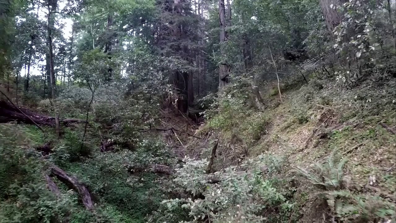 GoPro: Sneak Peek of GoPro Quadcopter Footage