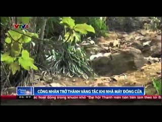Công nhân trở thành vàng tặc khi nhà máy đóng cửa