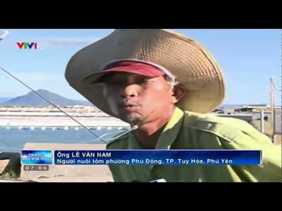 Sự phát triển quá nhanh diện tích nuôi tôm gây ô nhiễm môi trường