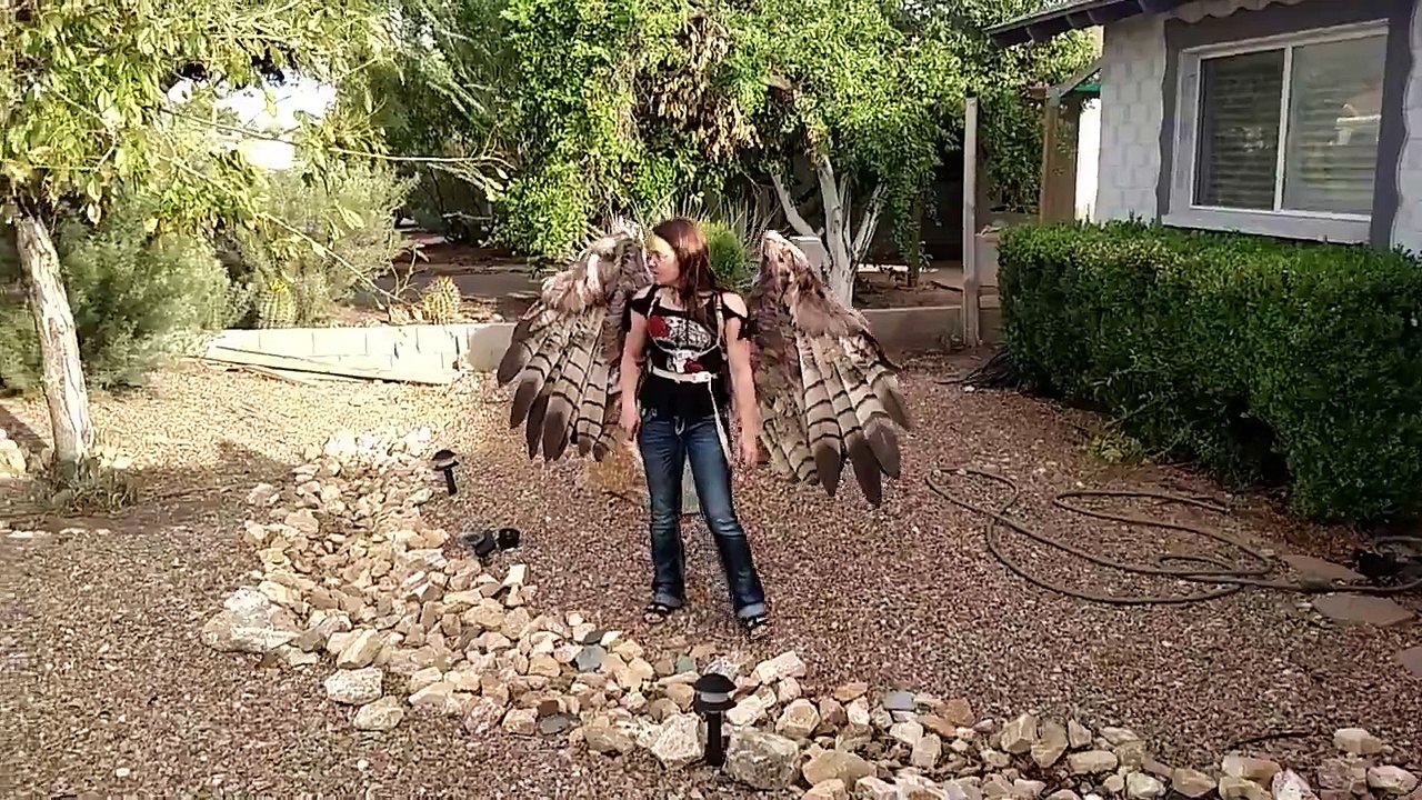 Une paire d’ailes pneumatiques