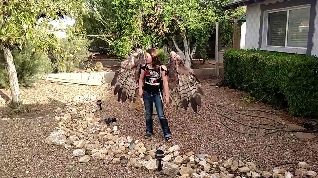 Une paire d’ailes pneumatiques