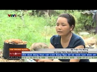 Hải Dương: Người chăn nuôi mất hàng tỷ đồng do sự cố cung ứng điện