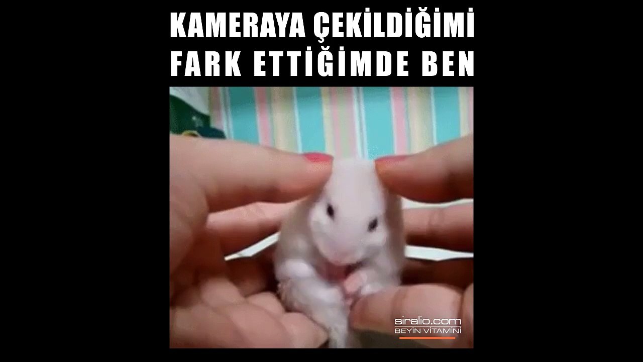 KAMERAYA  ÇEKİLDİĞİMİ FARK ETTİĞİMDE BEN