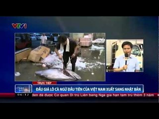 Đấu giá lô cá ngừ đầu tiên của Việt nam xuất sang Nhật Bản