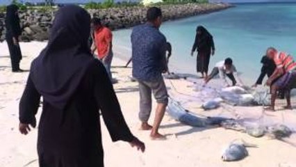 Var mı böyle balık yakalayabilen!!! Muhteşem av!!!