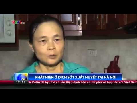 Hà Nội lo ngại bùng phát sốt xuất huyết