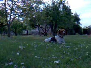 Belle journée en avril