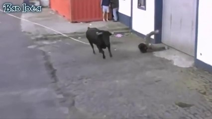 Funny videos Don't Mess with The Bull People fails bull fighting Stupid people doing stupid thing